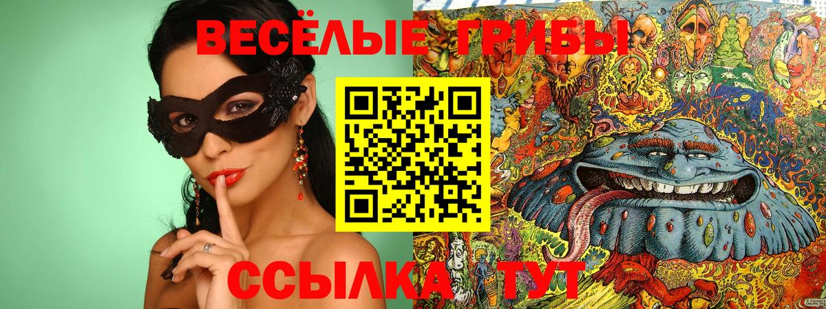 Галлюциногенные грибы GOLDEN TEACHER Изобильный
