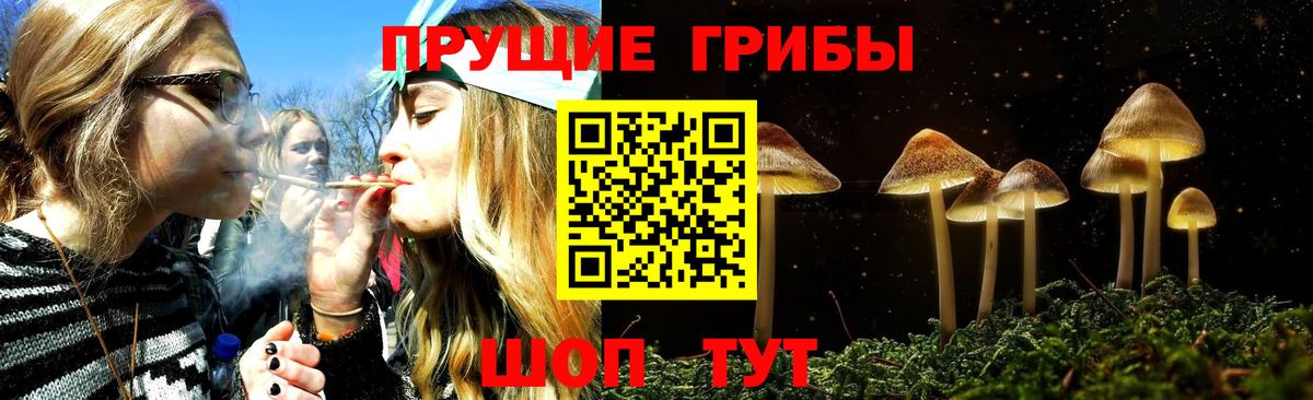 Изобильный  Галлюциногенные грибы Psilocybine cubensis  Вход с VPN  наркотики  Галлюциногенные грибы Psilocybine cubensis 